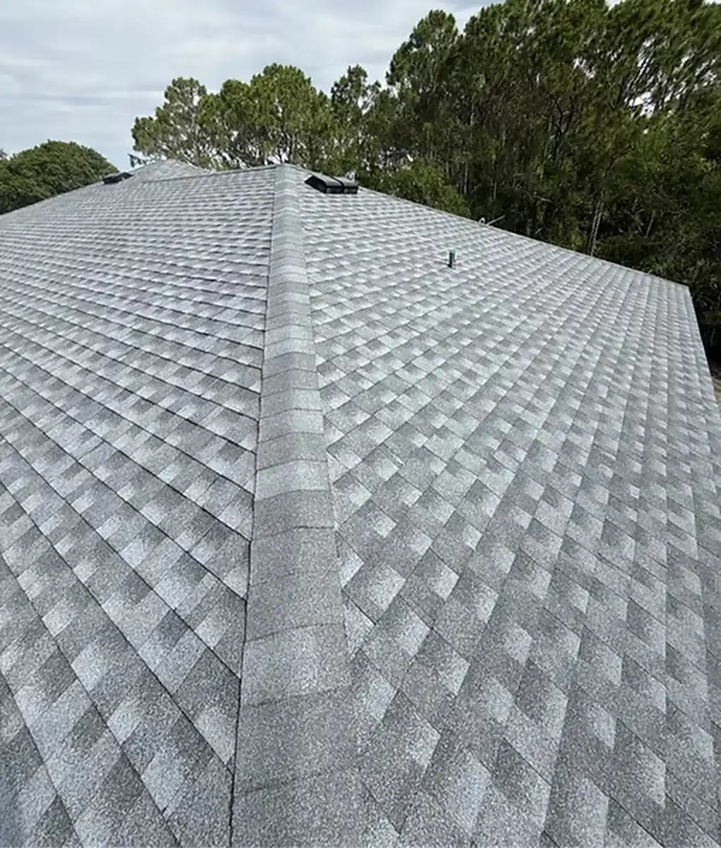 Grey shingle roof close-up in Clermont, Florida