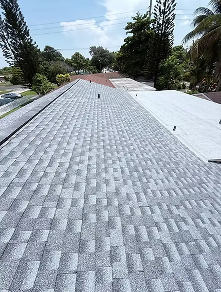 High-wind rated shingle roof close-up in Clermont, Florida