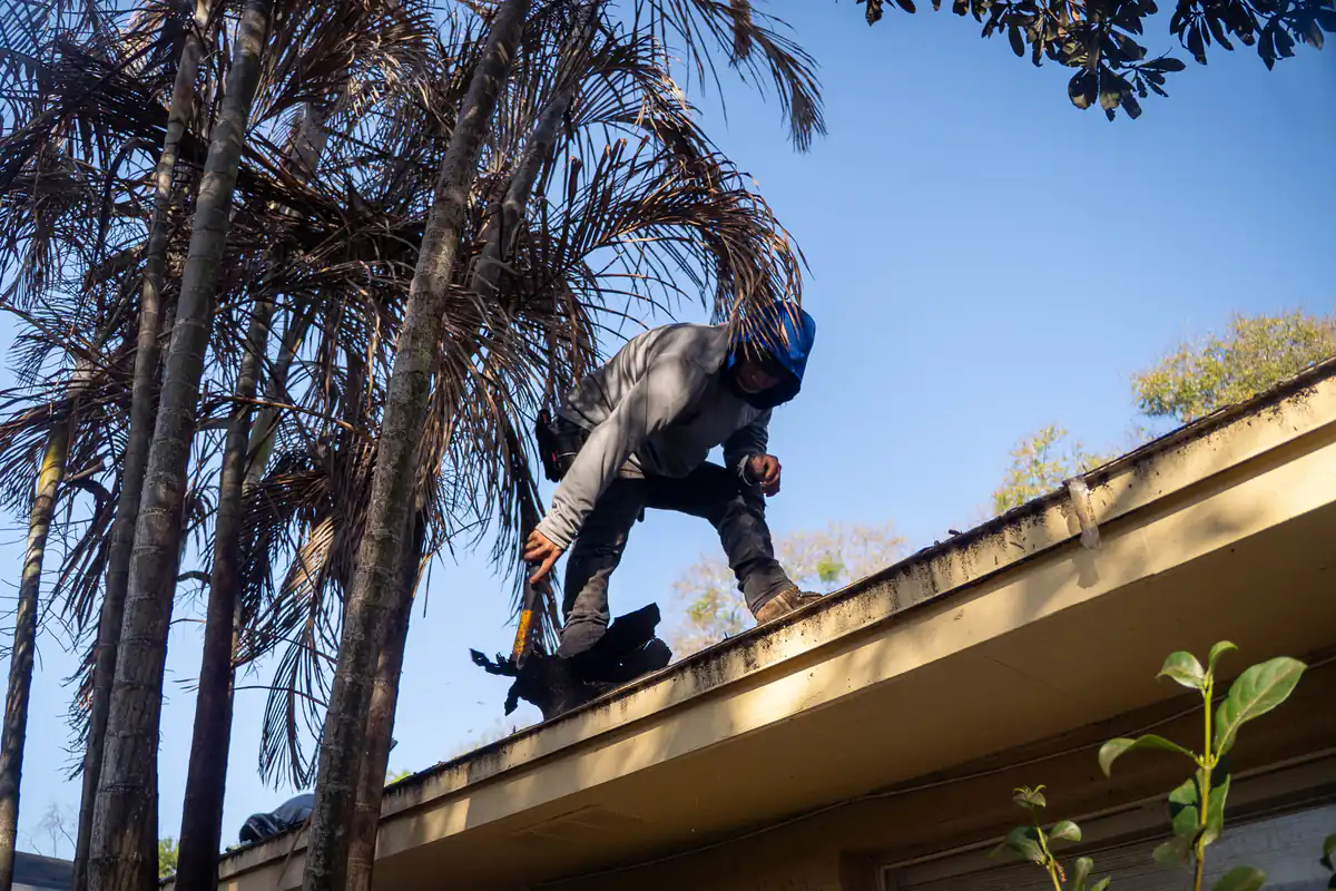 Roofer working the edge of the Orlando roof beside the palms