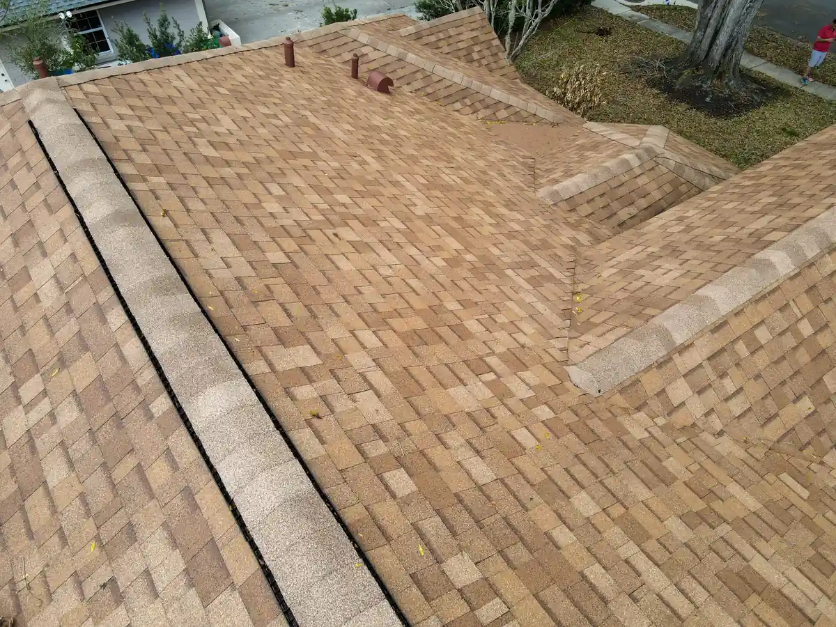 Rear top view of the Orlando shingle roof